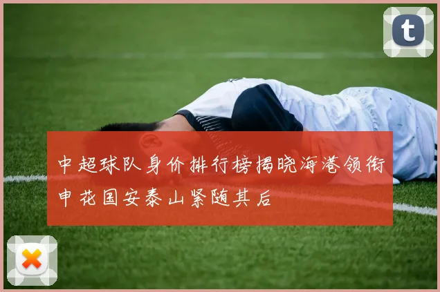 中超球队身价排行榜揭晓海港领衔申花国安泰山紧随其后