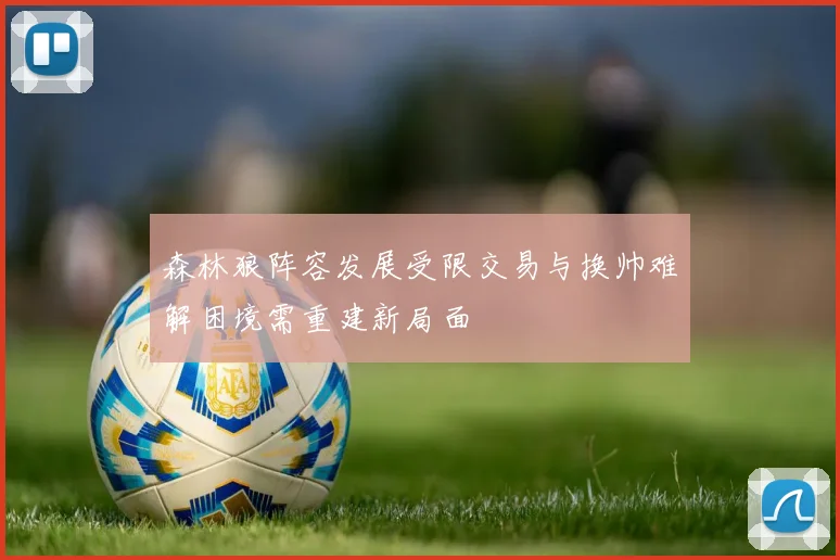 森林狼阵容发展受限交易与换帅难解困境需重建新局面