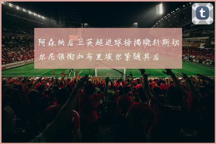 阿森纳后卫英超进球榜揭晓科斯切尔尼领衔加布里埃尔紧随其后